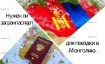 Нужен ли загранпаспорт для поездки в Монголию в 2025 году