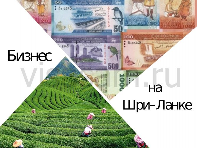Бизнес на Шри-Ланке